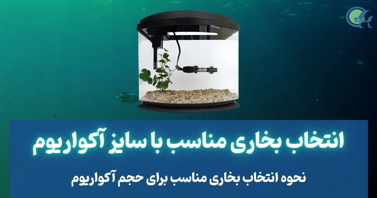 انتخاب بخاری مناسب با سایز آکواریوم