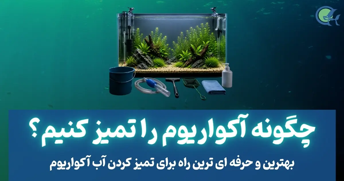 چگونه آکواریوم را تمیز کنیم؟