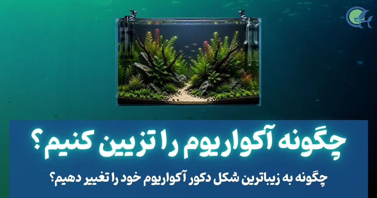 چگونه آکواریوم را تزیین کنیم؟ ( بخش اول )