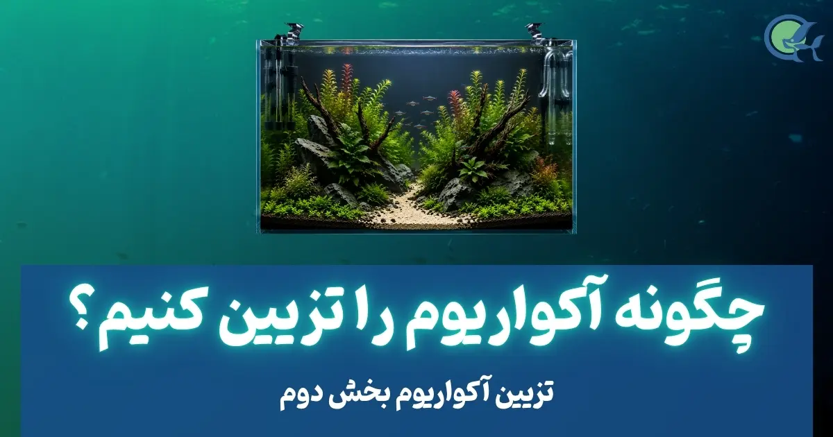 چگونه آکواریوم را تزیین کنیم؟ ( تزیین آکواریوم بخش دوم )