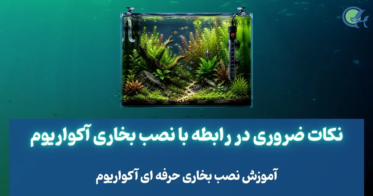 نکات ضروری در رابطه با نصب بخاری آکواریوم