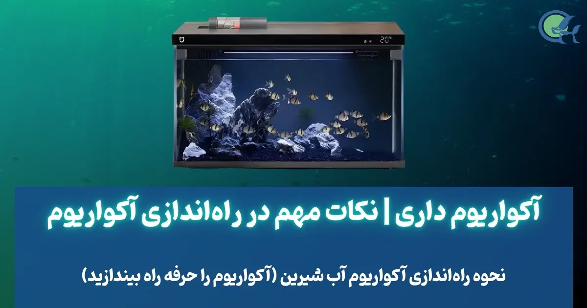 آکواریوم داری