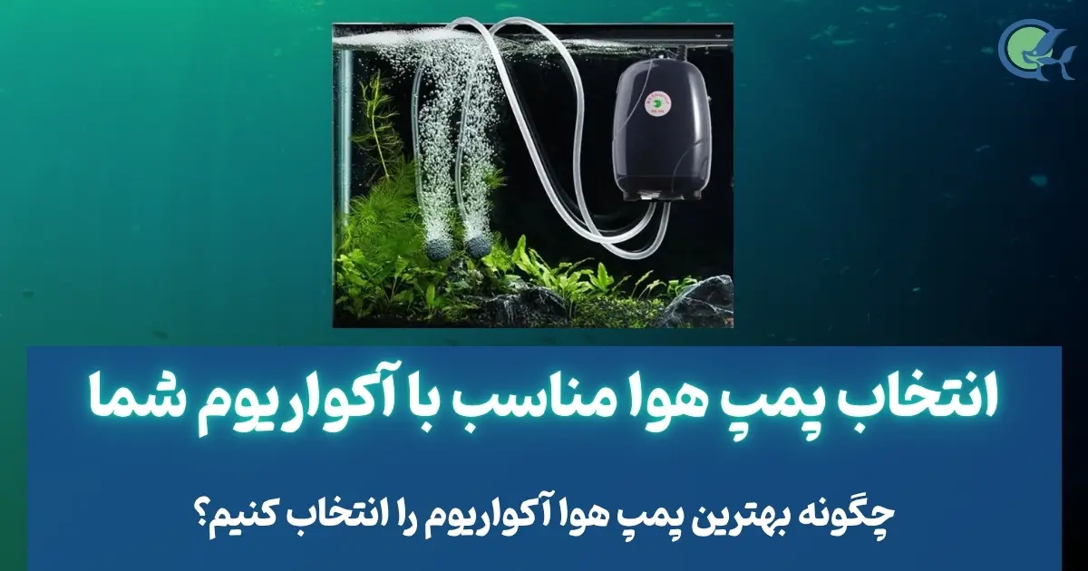 انتخاب پمپ هوا مناسب با آکواریوم شما