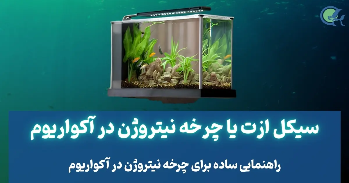 سیکل ازت یا چرخه نیتروژن در آکواریوم