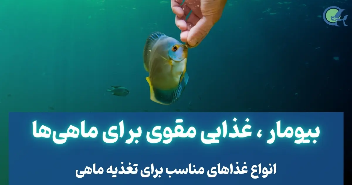 بیومار ، غذایی مقوی برای ماهی‌ها