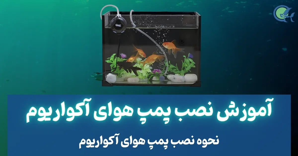 آموزش نصب پمپ هوای آکواریوم