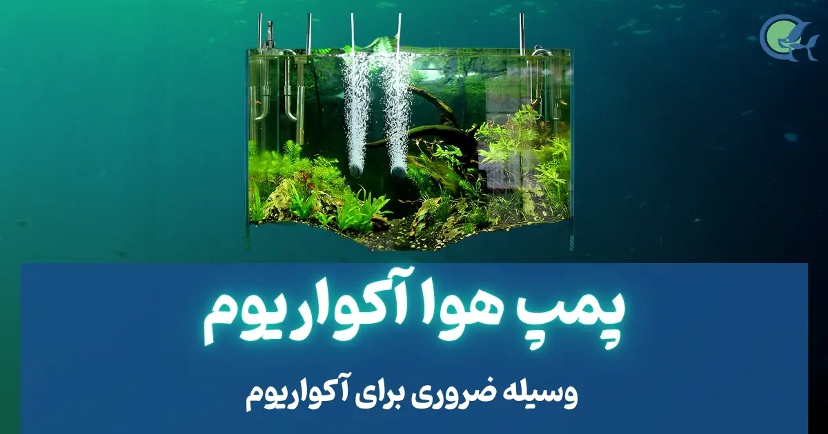 پمپ هوا آکواریوم - وسیله ضروری برای آکواریوم