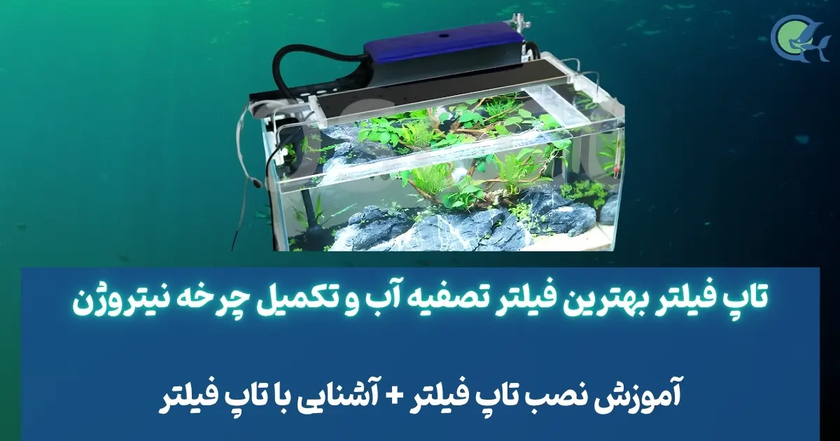 تاپ فیلتر بهترین فیلتر تصفیه آب و تکمیل چرخه نیتروژن