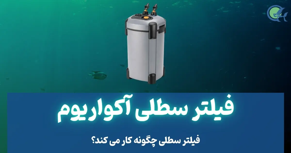 فیلتر سطلی