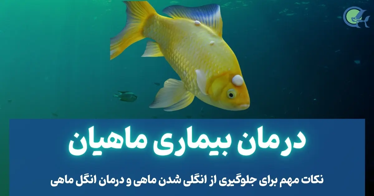 درمان بیماری ماهیان