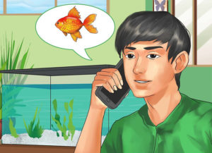 چگونگی انتخاب ماهی برای یک آکواریوم آب شیرین