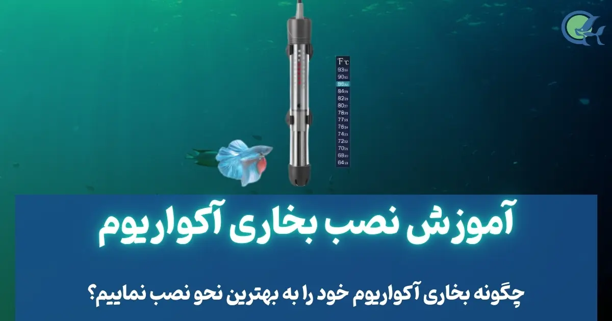آموزش نصب بخاری آکواریوم