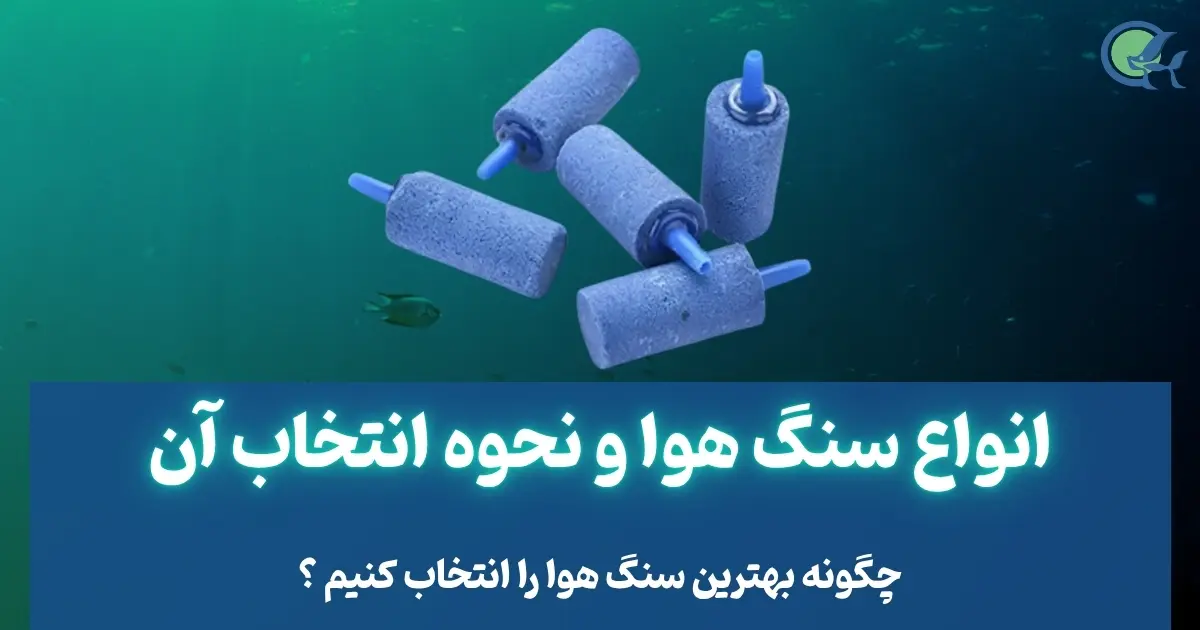 انواع سنگ هوا و نحوه انتخاب آن
