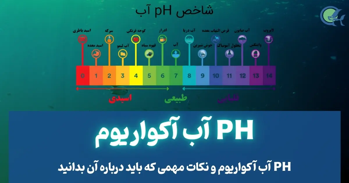 PH آب آکواریوم و نکات مهمی که باید درباره آن بدانید