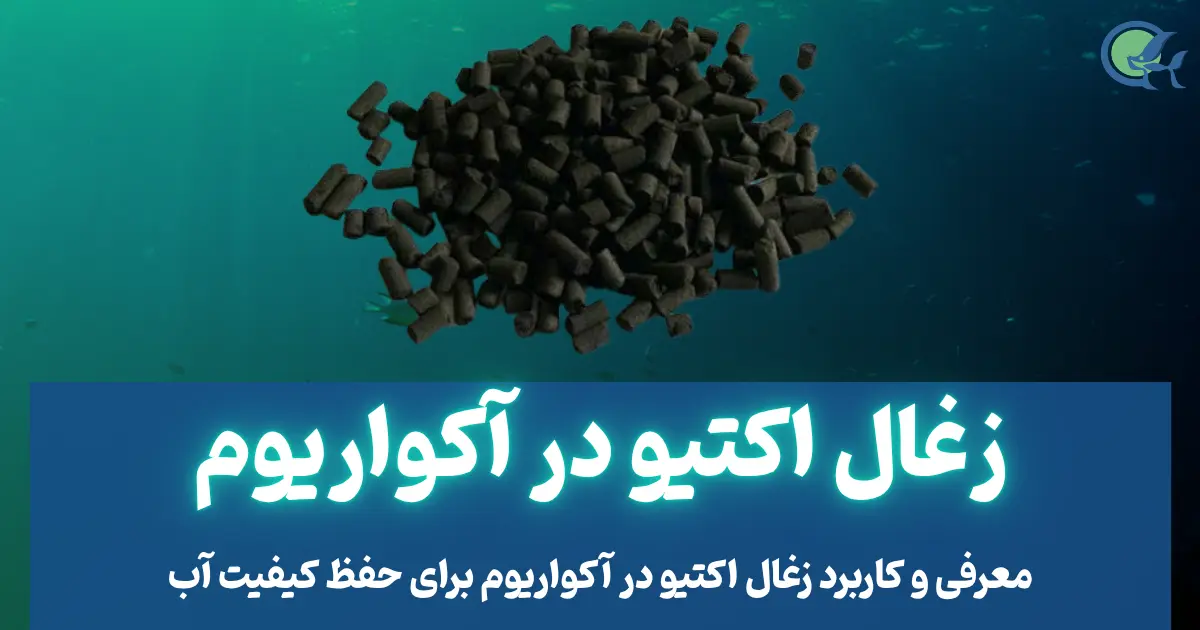 معرفی و کاربرد زغال اکتیو در آکواریوم برای حفظ کیفیت آب