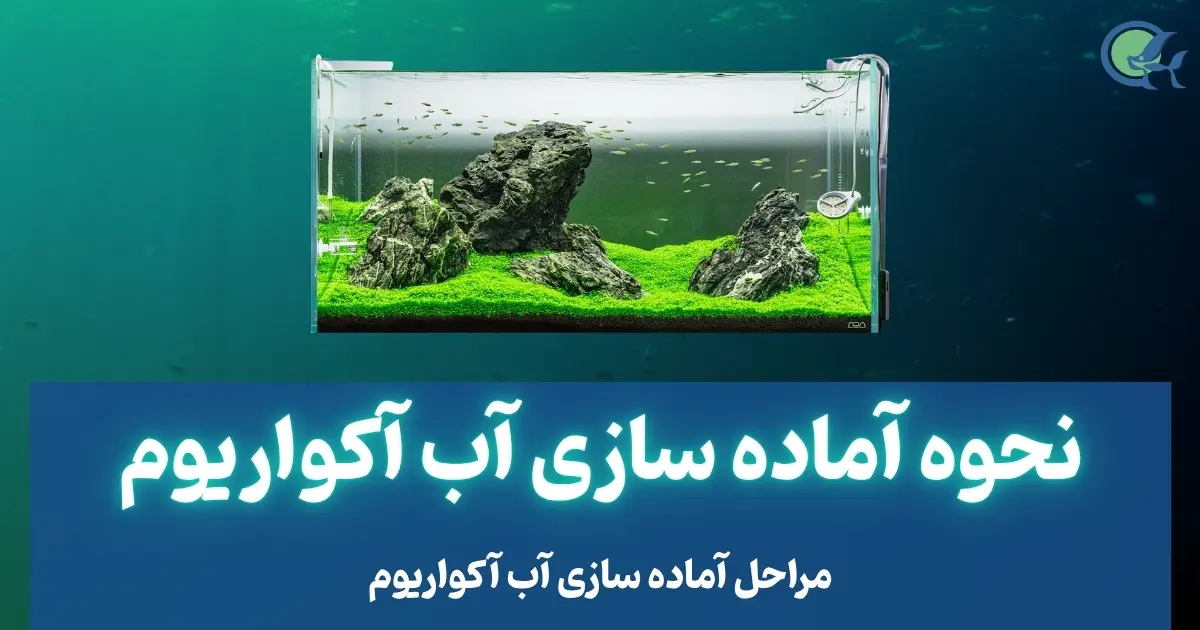 نحوه آماده سازی آب آکواریوم