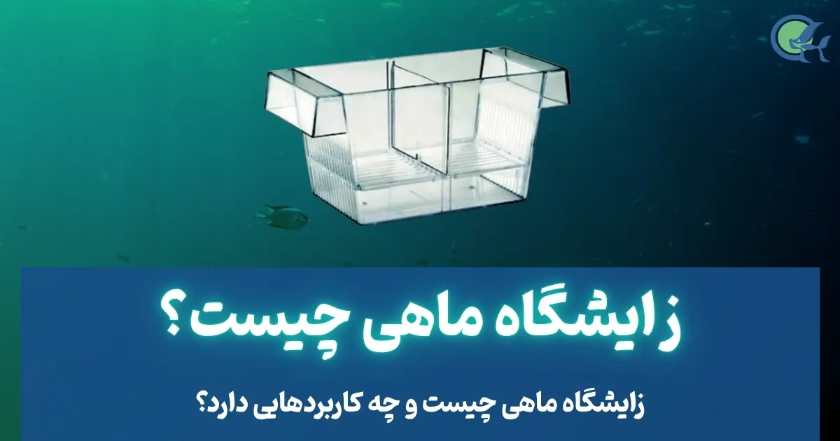 زایشگاه ماهی چیست و چه کاربردهایی دارد؟