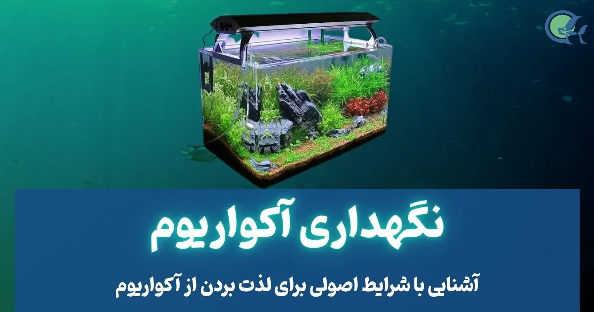 نگهداری آکواریوم