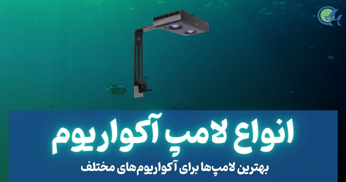 انواع لامپ آکواریوم