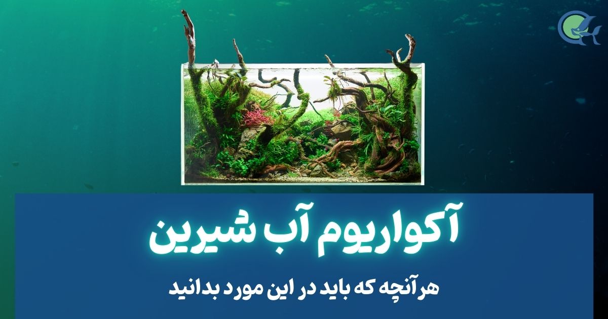 آکواریوم آب شیرین