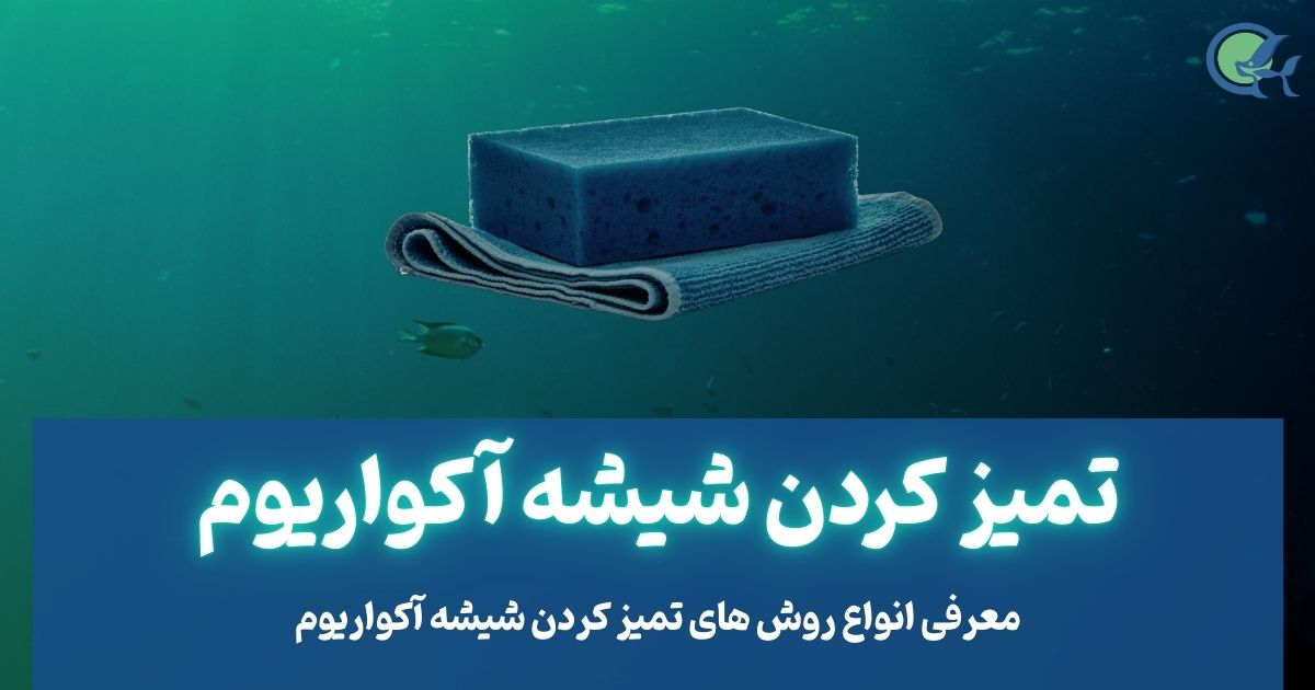 معرفی روش های تمیز کردن شیشه اکواریوم