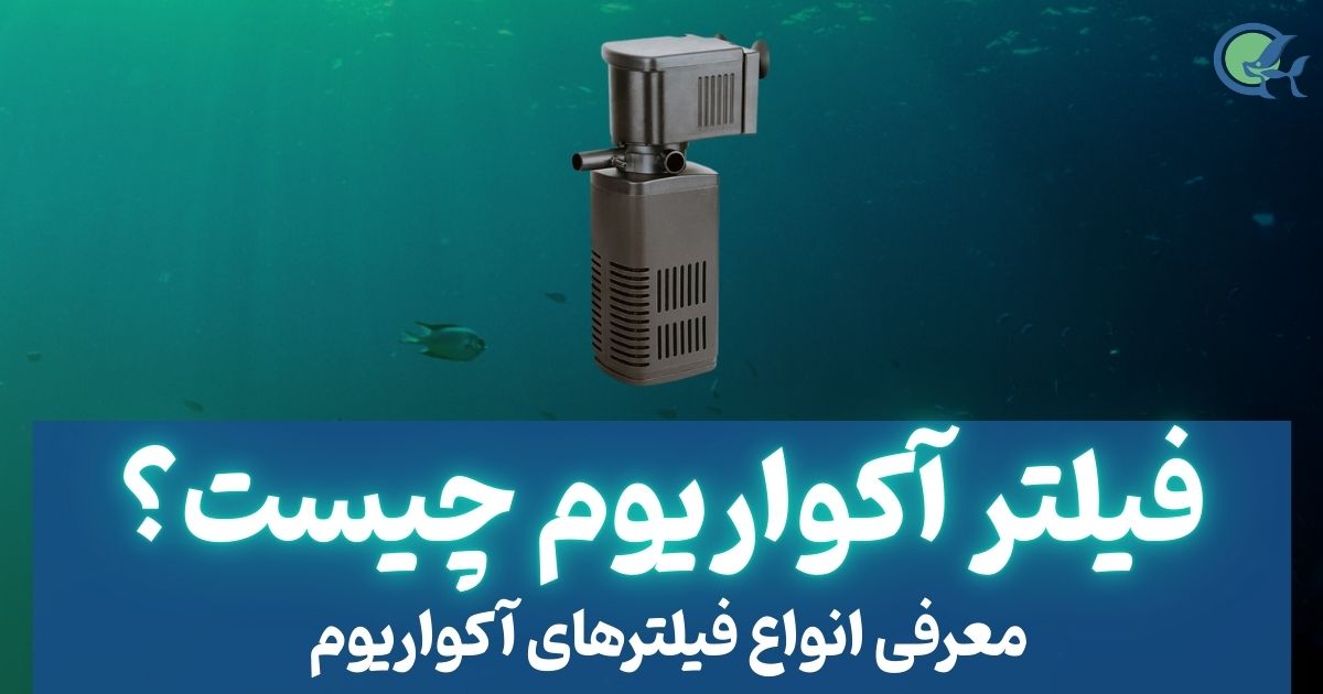 فیلتر آکواریوم چیست؟