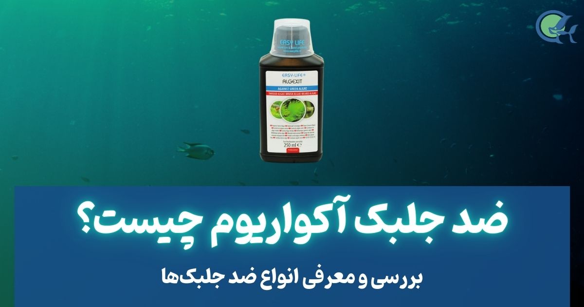 ضد جلبک آکواریوم چیست؟