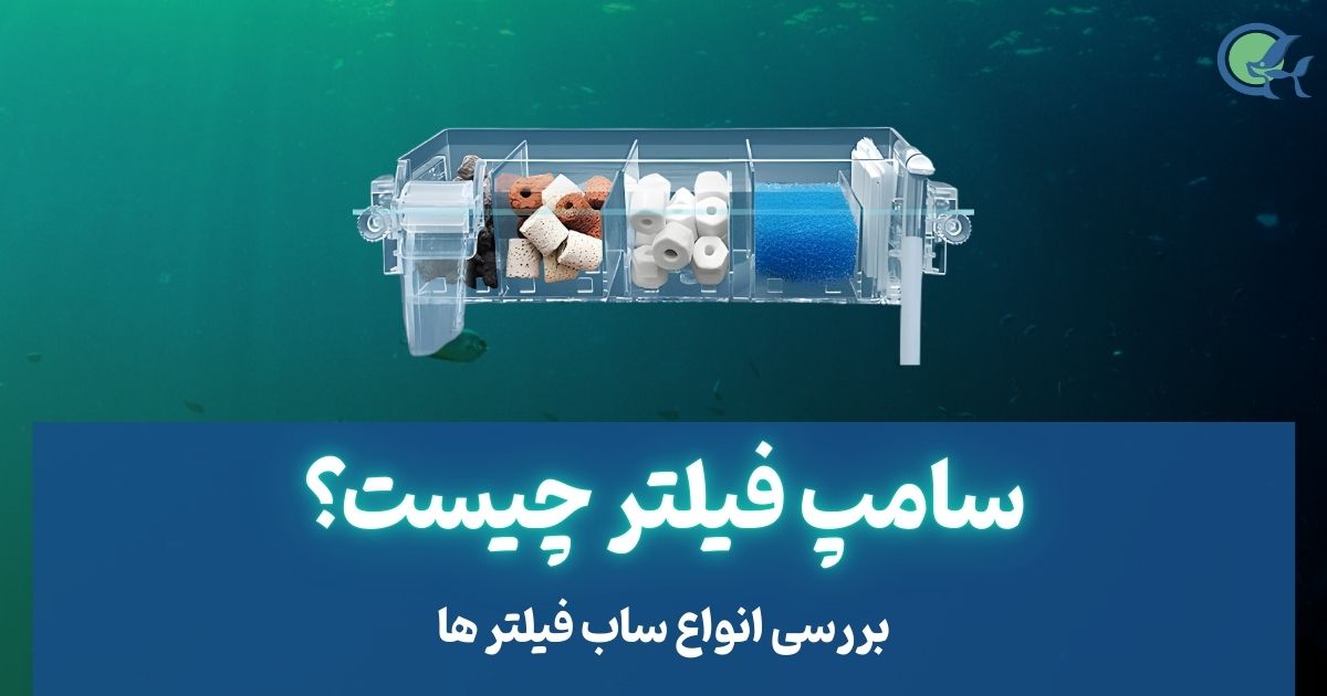 سامپ فیلتر چیست؟