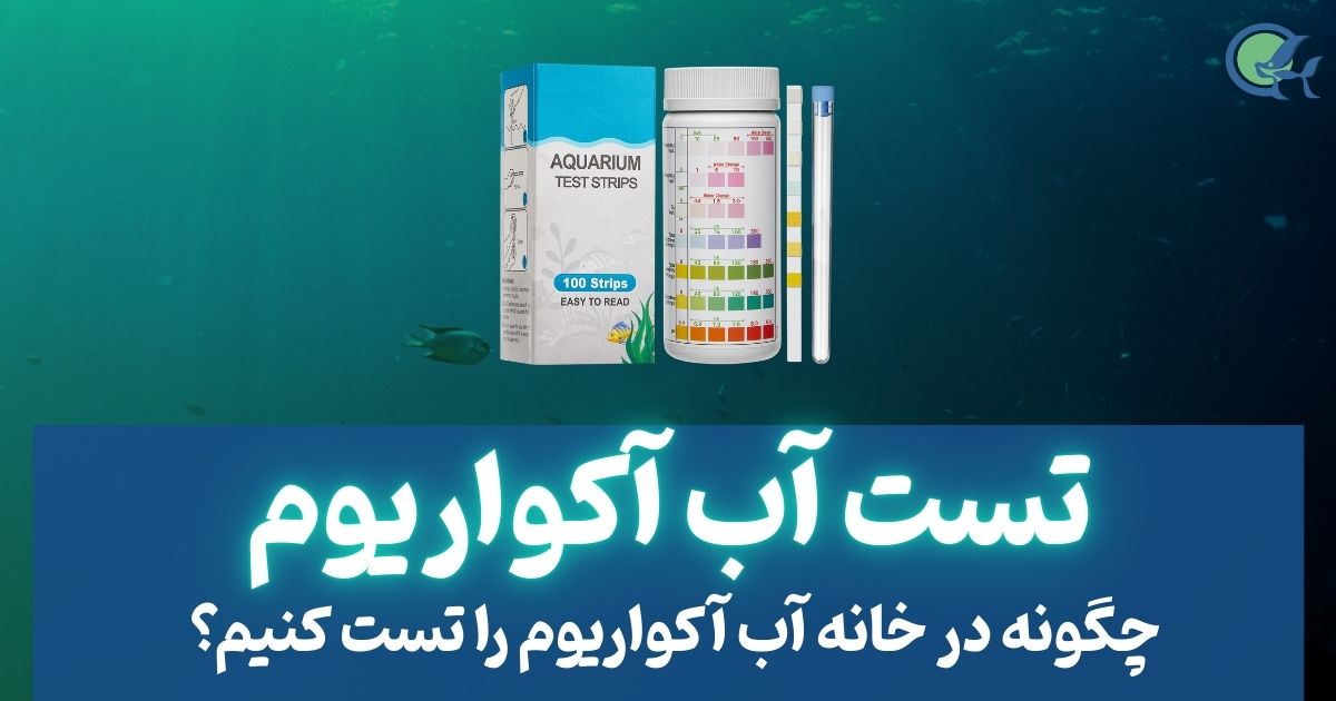 تست اب اکواریوم چگونه صورت می گیرد؟