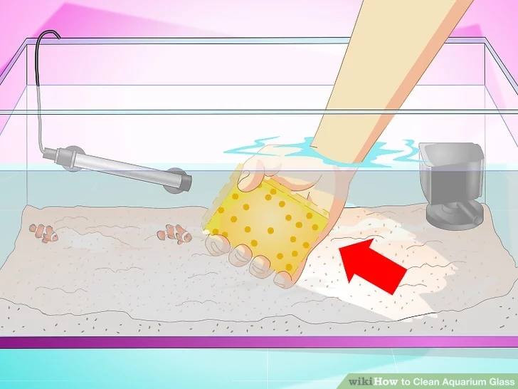 1.استفاده از اسفنج برای تمیزکردن شیشه اکواریوم