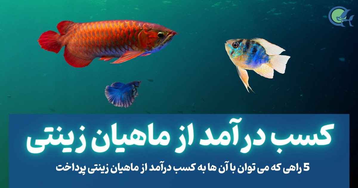 کسب درآمد از ماهیان زینتی