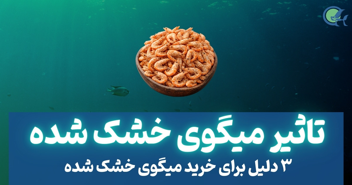 3 تاثیر میگوی خشک شده