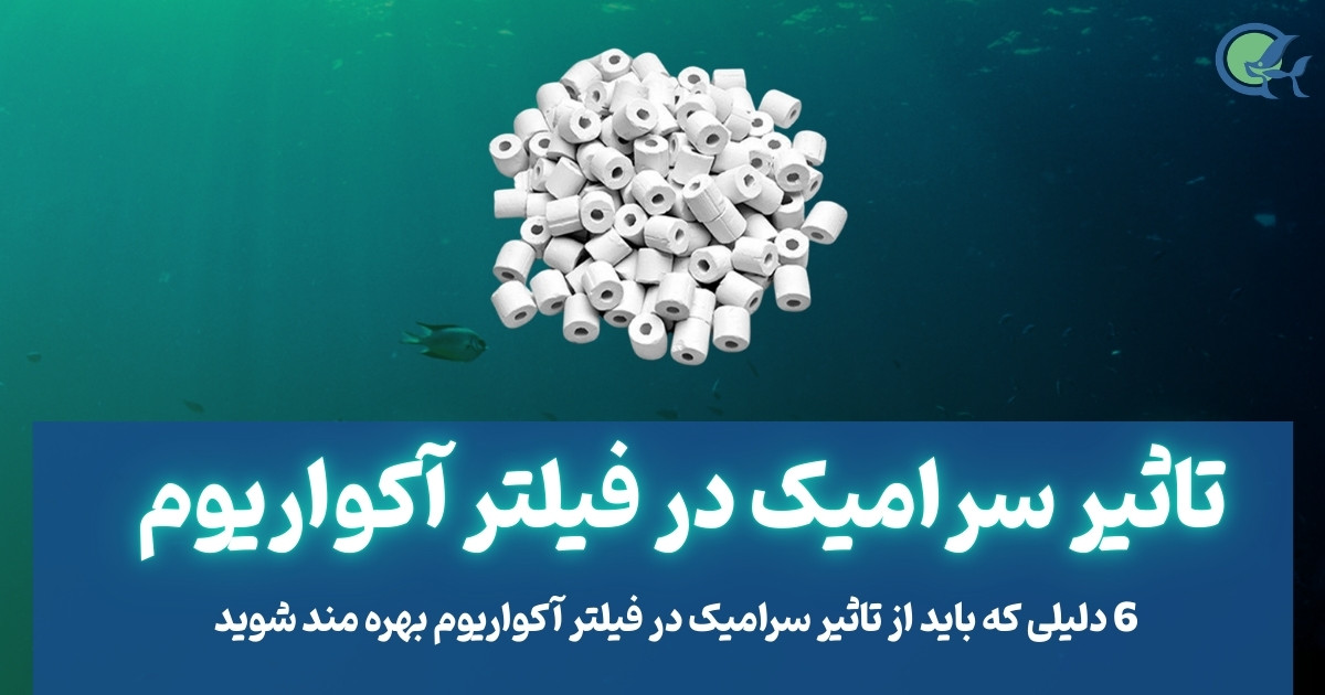 تاثیر سرامیک در فیلتر آکواریوم
