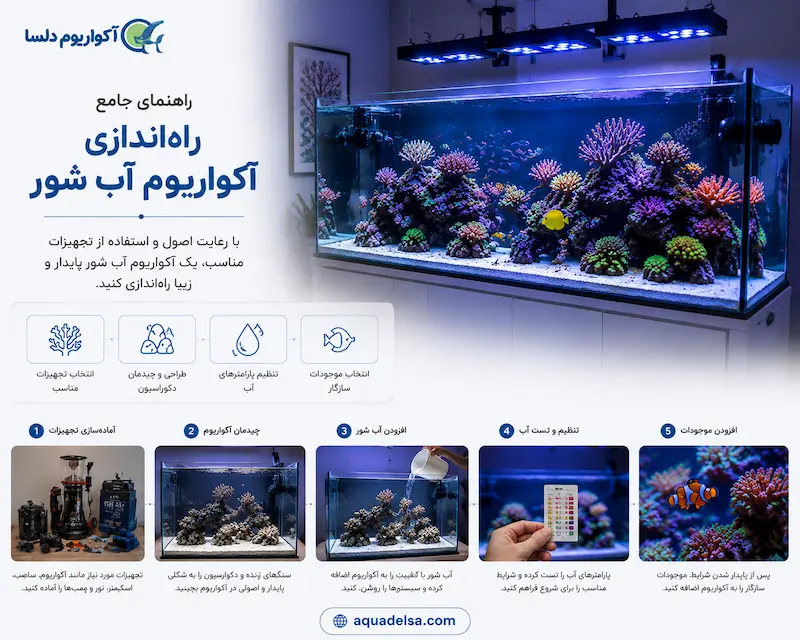 راه‌ اندازی آکواریوم آب شور
