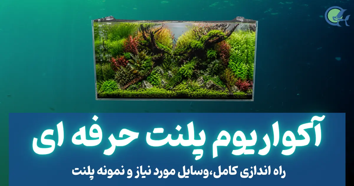 آکواریوم پلنت حرفه ای