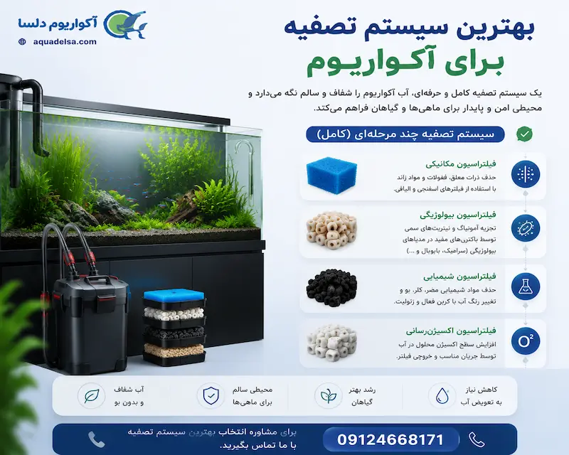 بهترین سیستم تصفیه برای آکواریوم