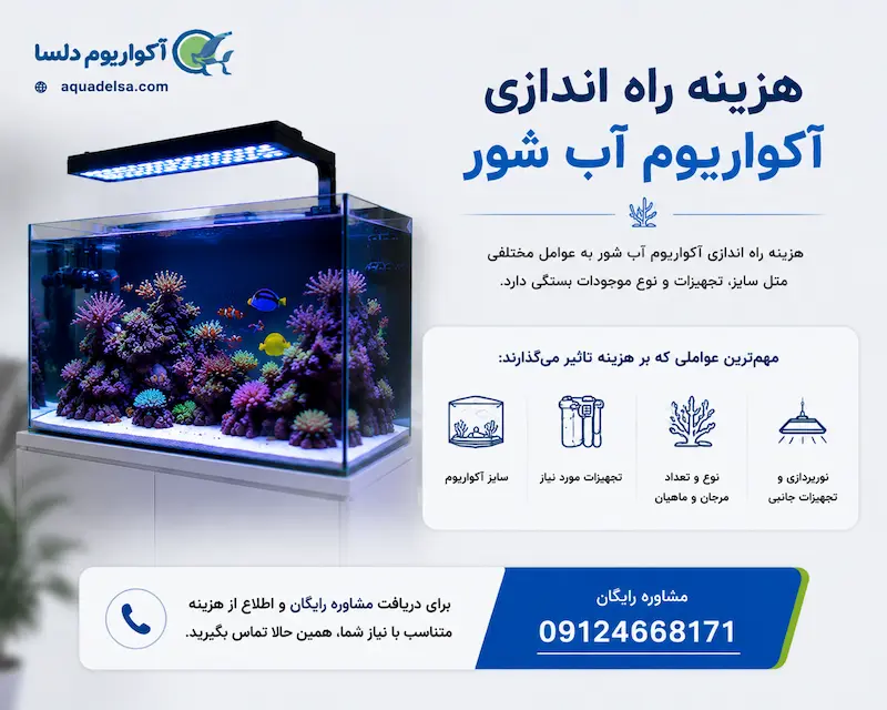 هزینه راه اندازی آکواریوم آب شور