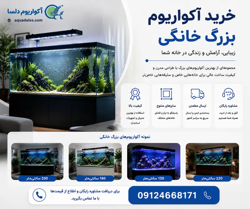خرید آکواریوم بزرگ خانگی