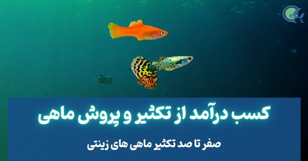 کسب درآمد از تکثیر و پروش ماهی