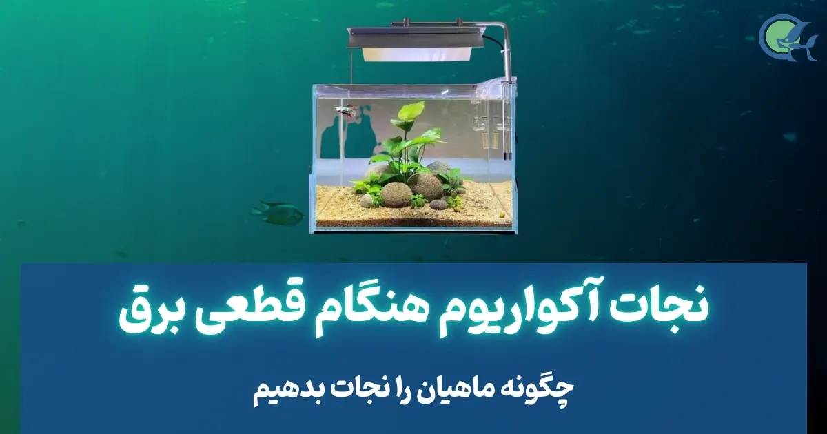 نجات آکواریوم هنگام قطعی برق
