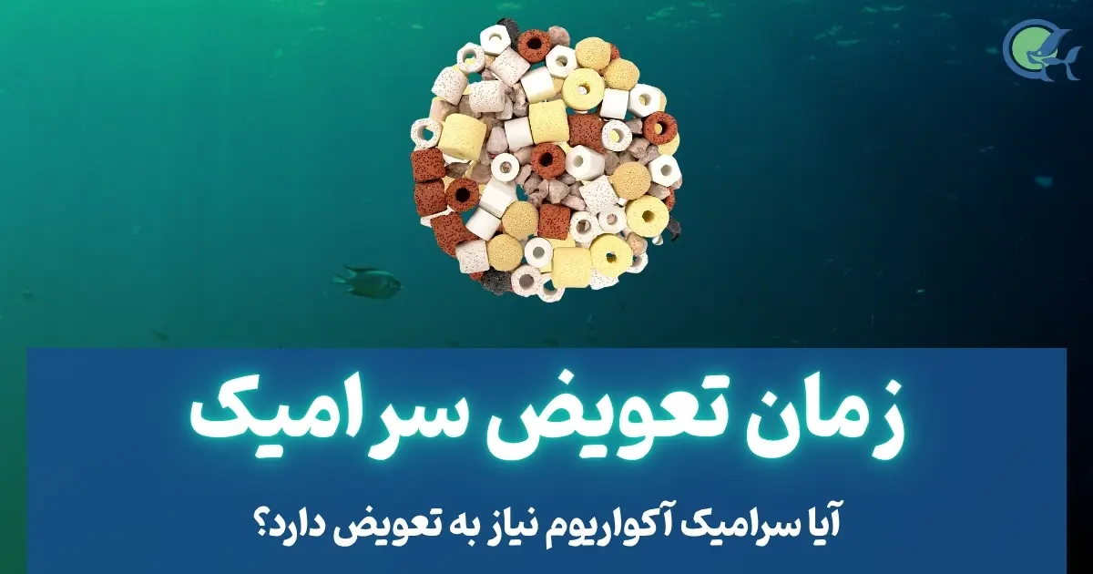 زمان تعویض سرامیک