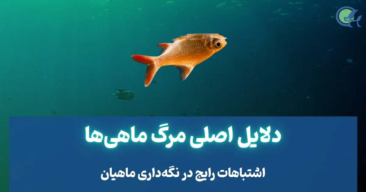 دلایل اصلی مرگ ماهی ها