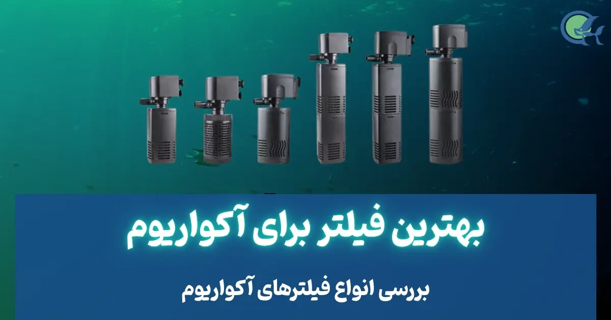بهترین فیلتر آکواریوم برای تانک شما چیست؟