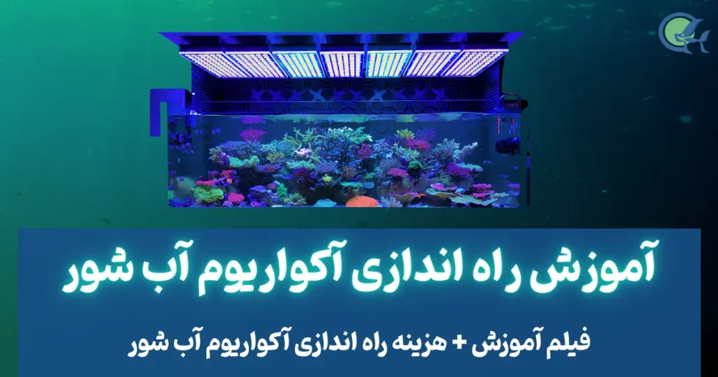 آموزش راه اندازی آکواریوم آب شور