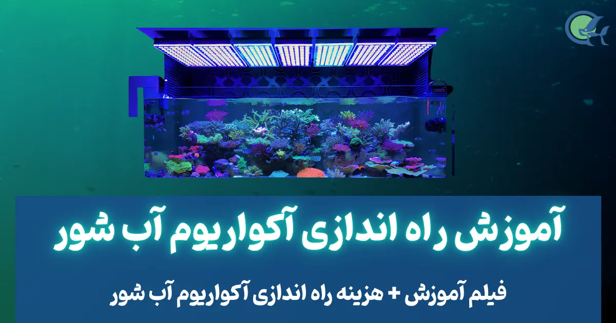 آموزش راه اندازی آکواریوم آب شور