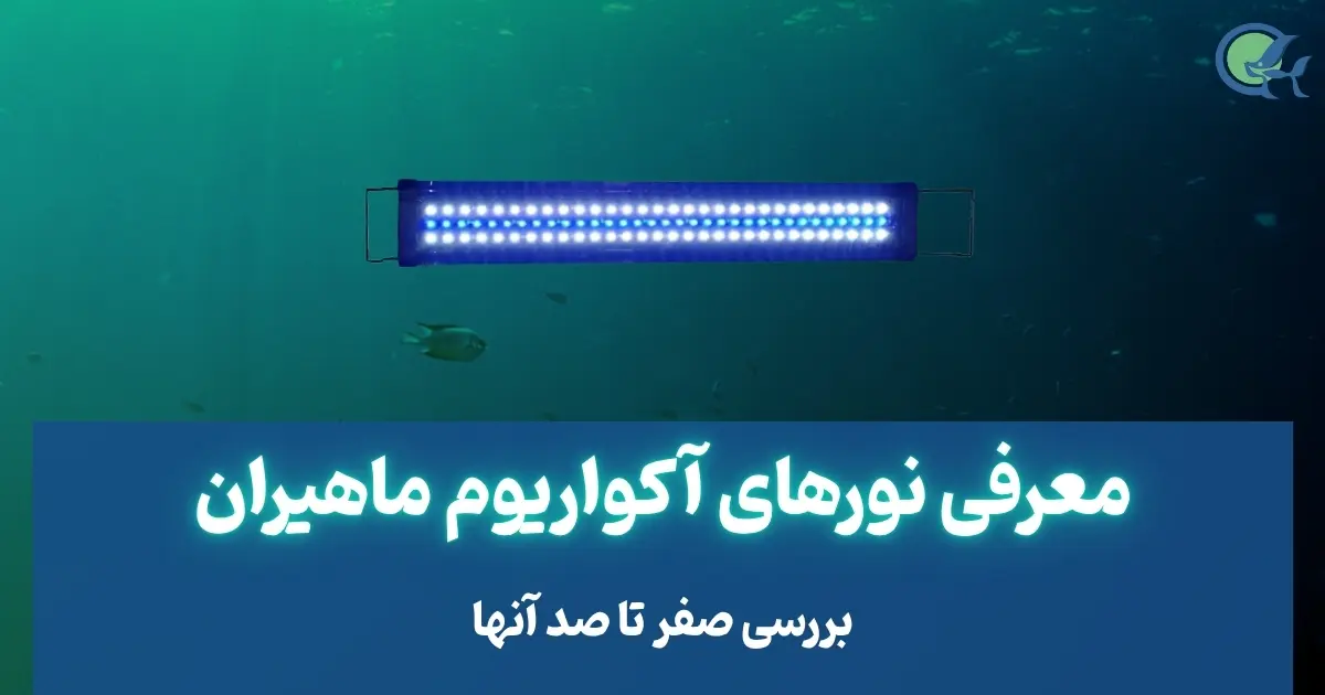 معرفی نور های آکواریوم برند ماهیران