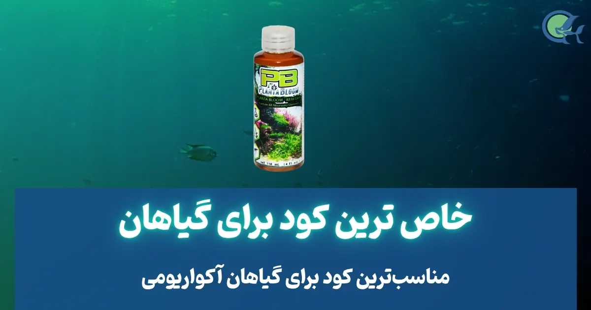 خاص ترین کود برای آکواریوم های گیاهی