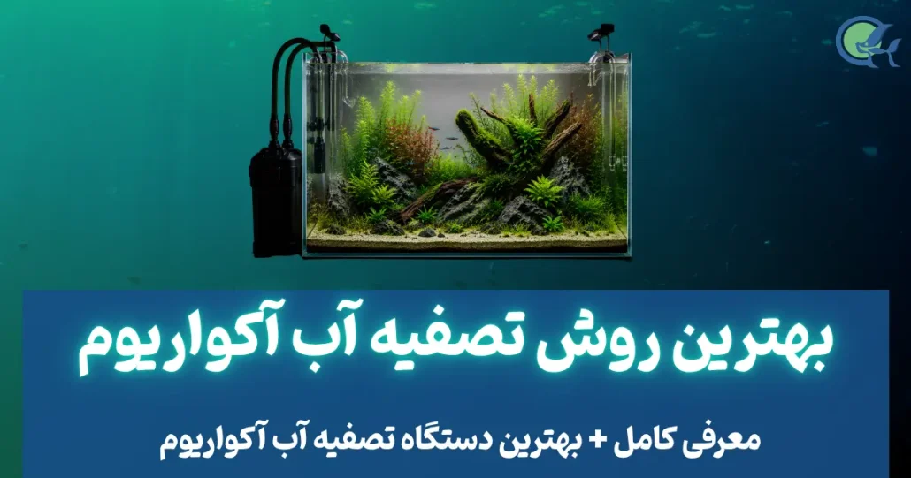 بهترین روش تصفیه آب آکواریوم