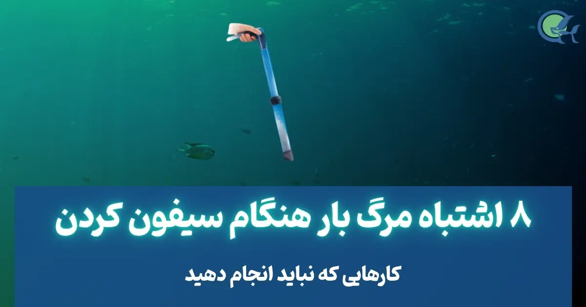 ۸ اشتباه مرگبار هنگام سیفون کردن آکواریوم